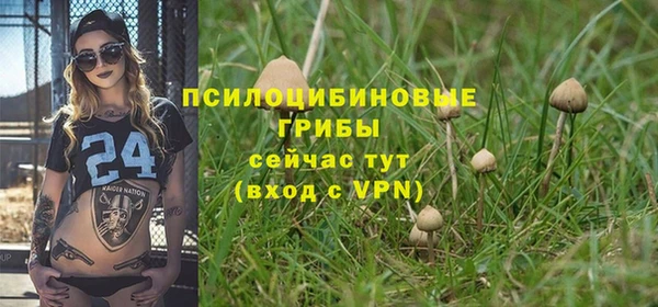 винт Нязепетровск