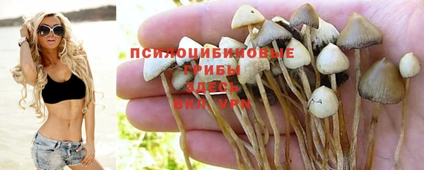 марки nbome Новокубанск