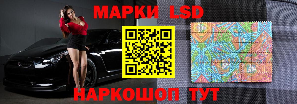 МЕФ Людиново