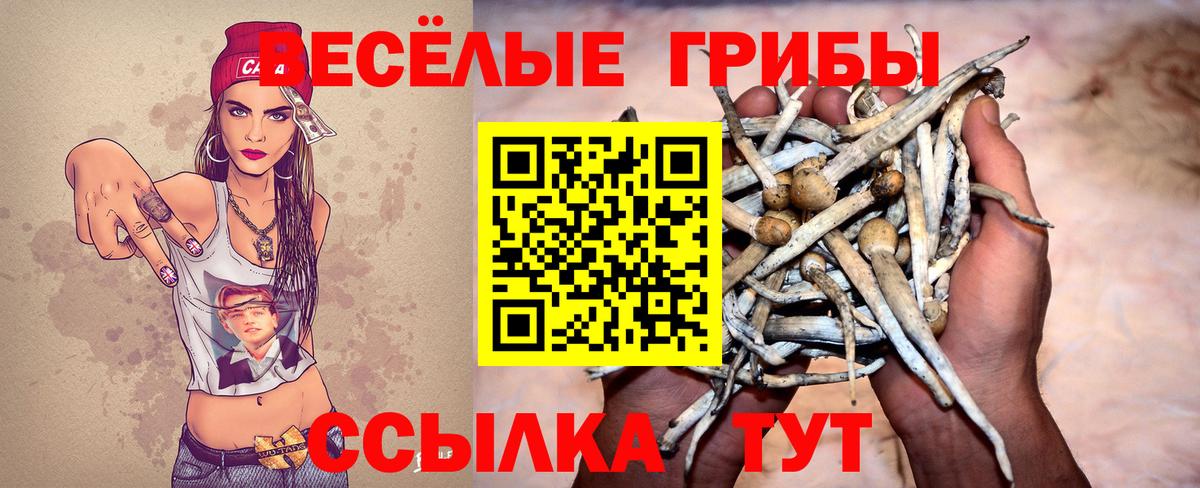 Галлюциногенные грибы Psilocybe Людиново