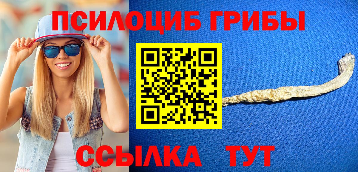 Людиново  Галлюциногенные грибы мухоморы  Вход с VPN 
